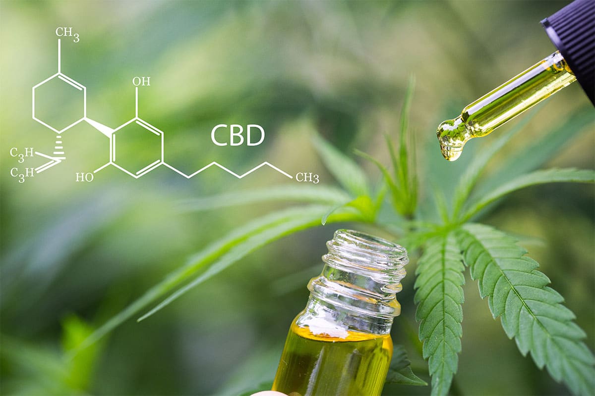 Best Place to Buy CBD Oil Canada